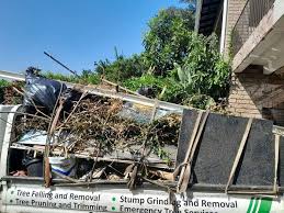 Best Property Management Cleanouts  in Mount Olive, NC